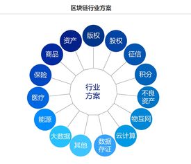 区块链技术演进与监管 以和数软件为例看行业发展的双重挑战